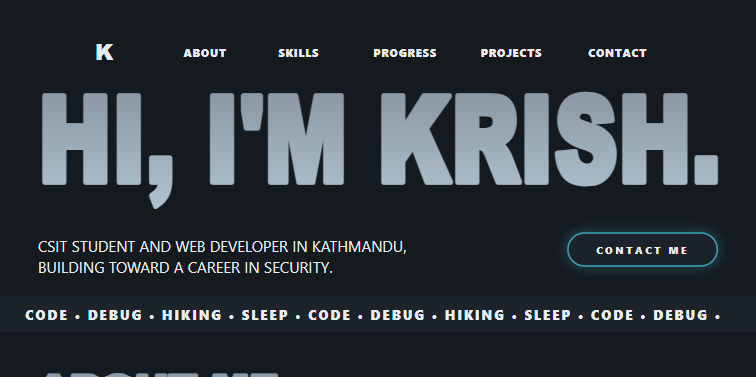 This portfolio project preview